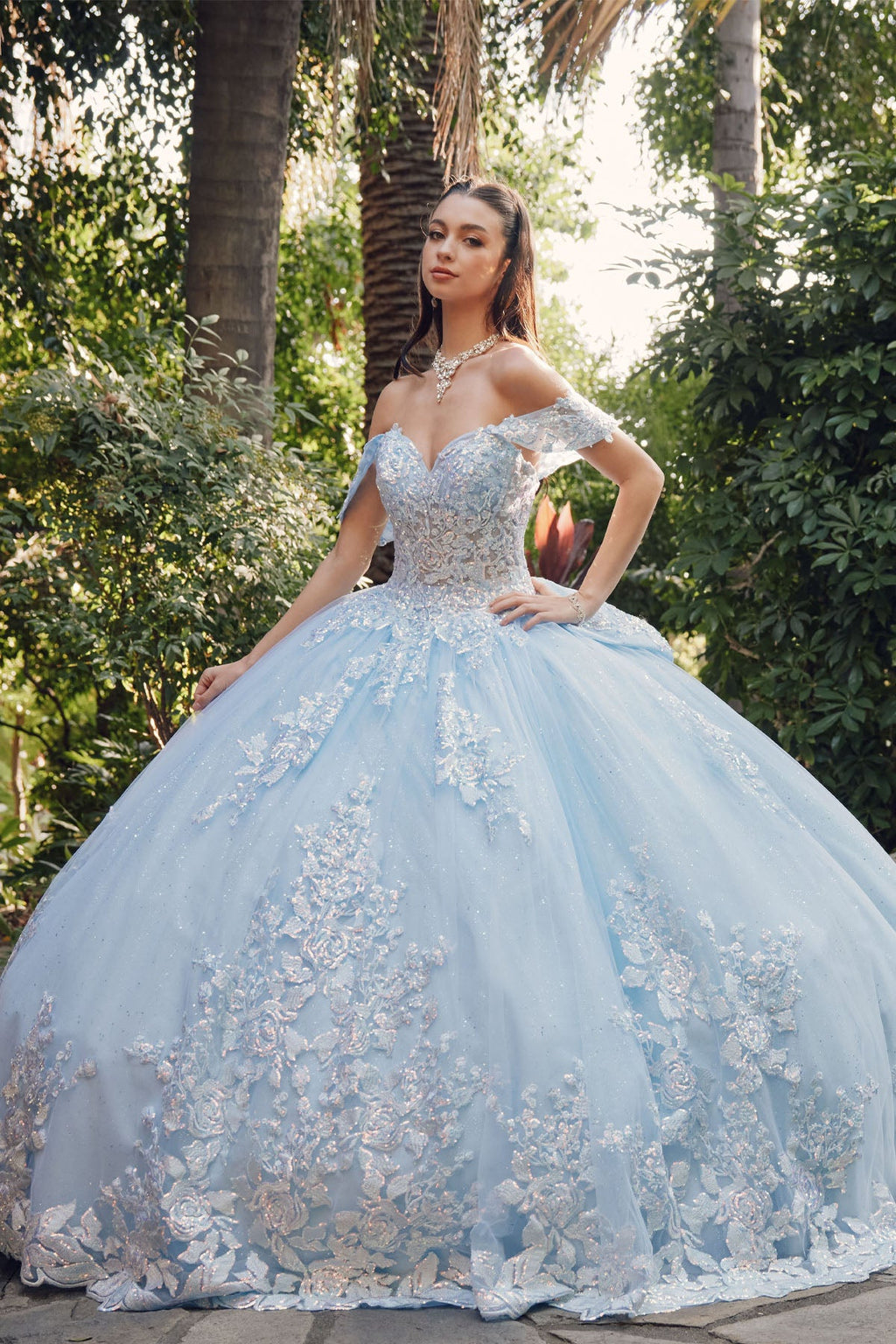 Embellished Lace Applique Tulle Ball Gown Quinceañera Princess JTJT1458J