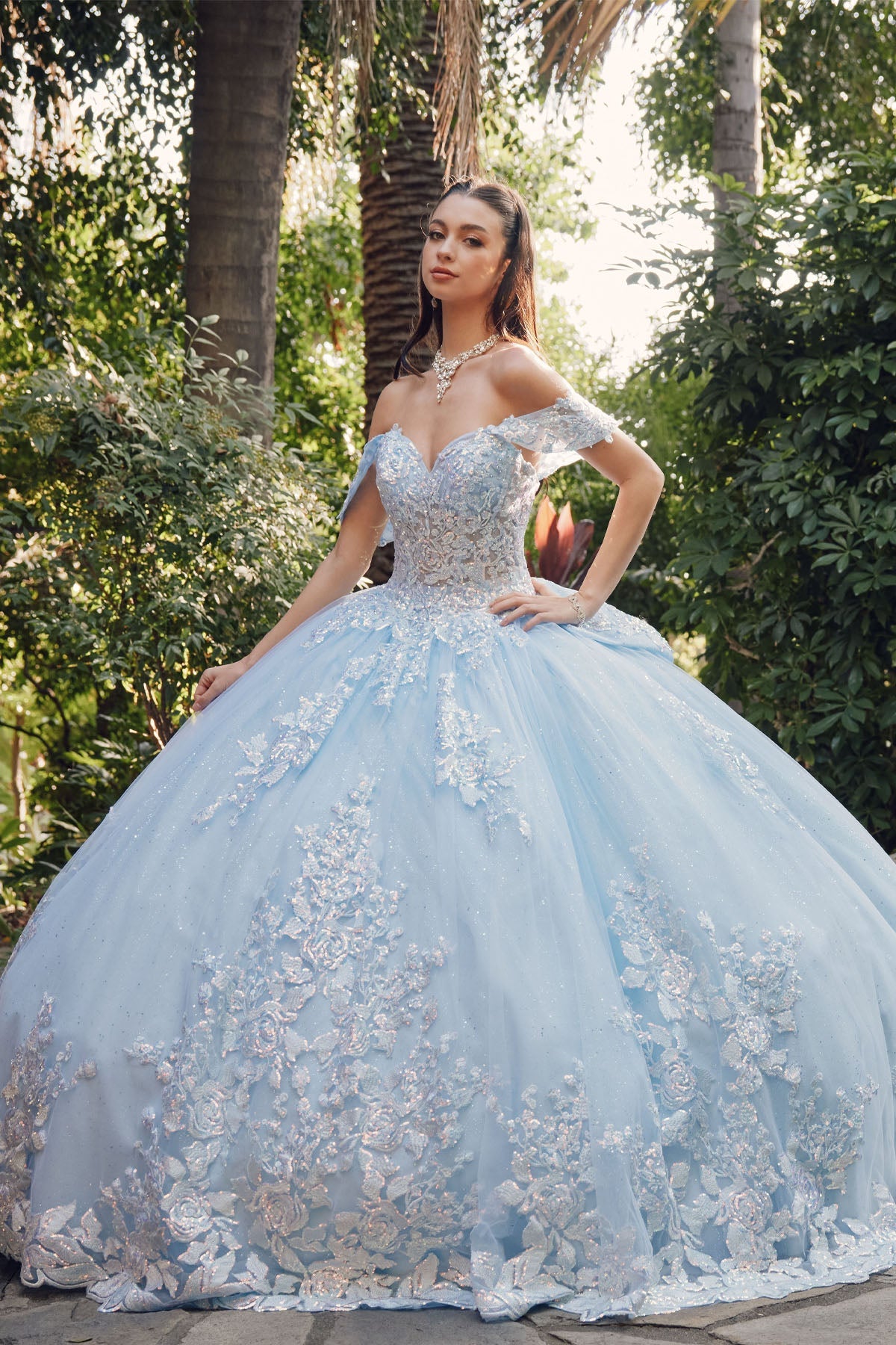 Embellished Lace Applique Tulle Ball Gown Quinceañera Princess JTJT1458J