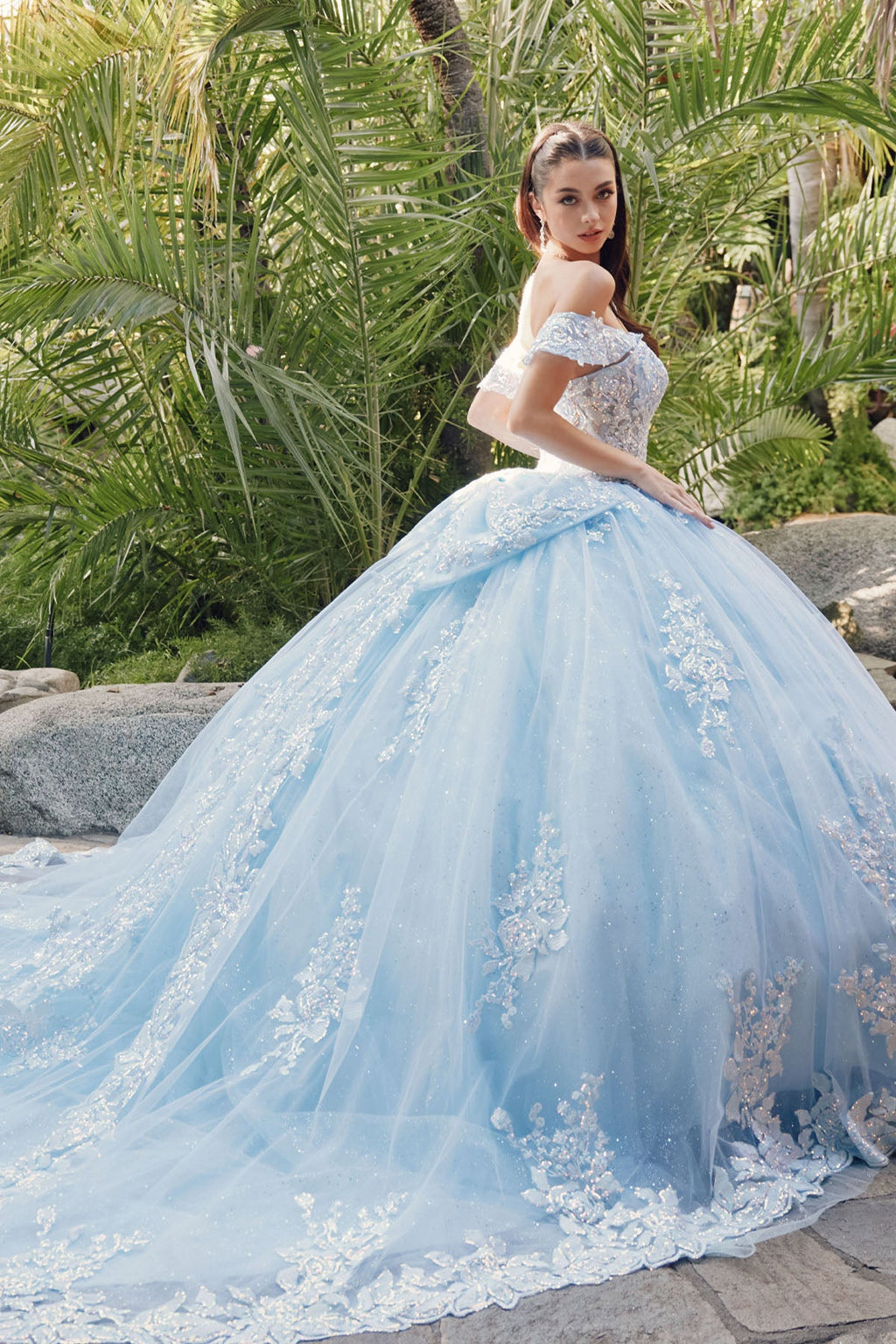 Embellished Lace Applique Tulle Ball Gown Quinceañera Princess JTJT1458J