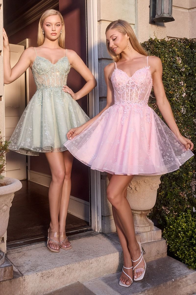 Floral Embroidered Tulle A-Line Mini Dress with Sheer Corset Bodice